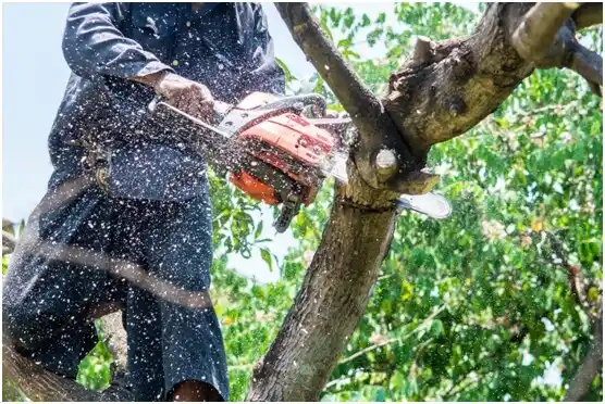 tree services Yatesville